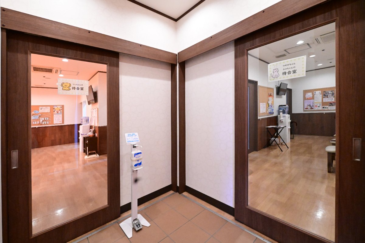 ヴィータ動物病院 設備